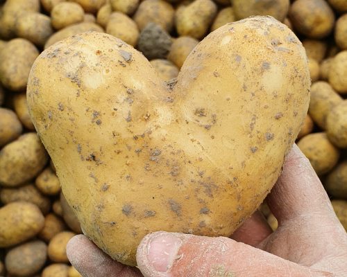 IMG_20230920_184602_133